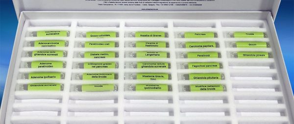 Enfermedades sistema endocrino