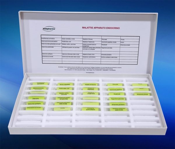 Enfermedades sistema endocrino