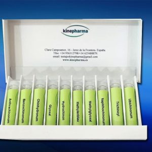 Kit de catalizadores intermedios