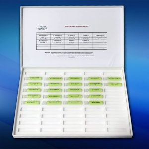 Test de nervios principales