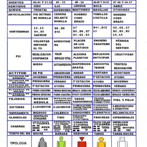 Lámina reflexología dental (II)