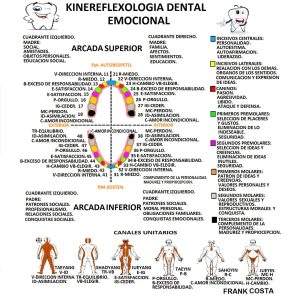 Lámina reflexología emocional