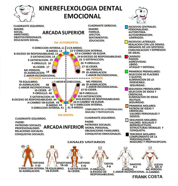 Lámina reflexología emocional