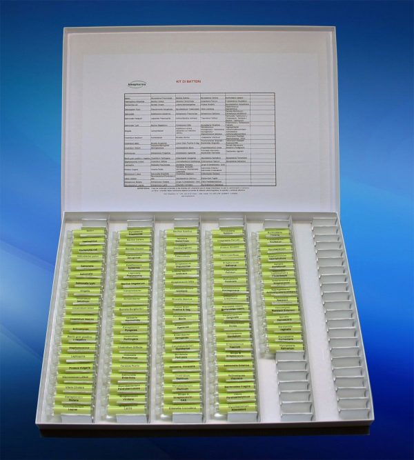 Test de bacterias
