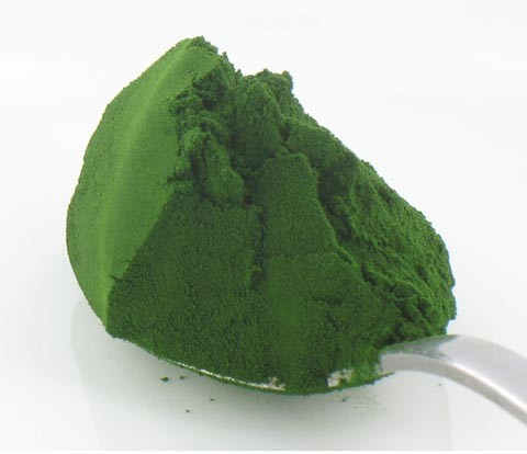 Chlorella en polvo 500g