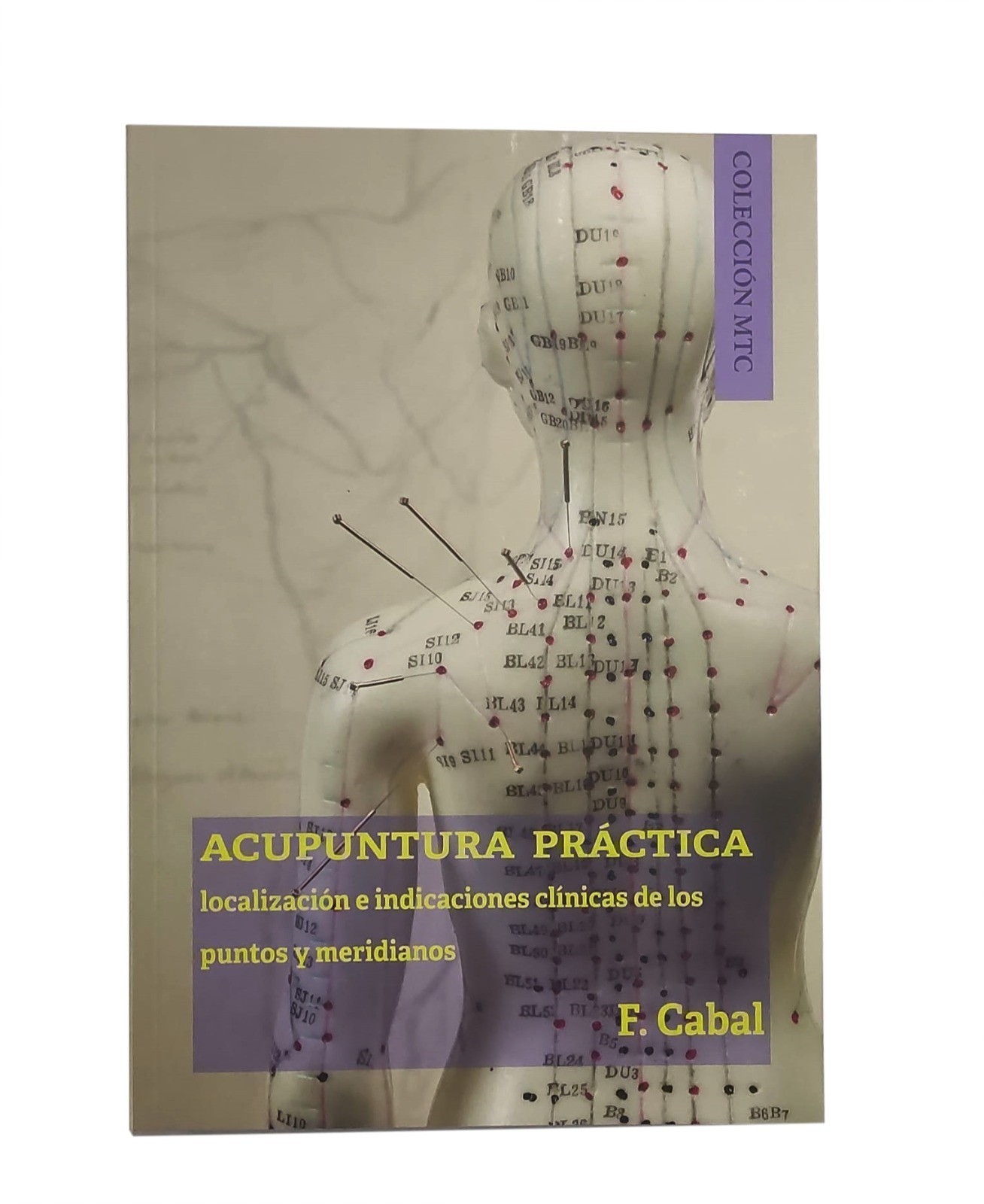 Acupuntura practica