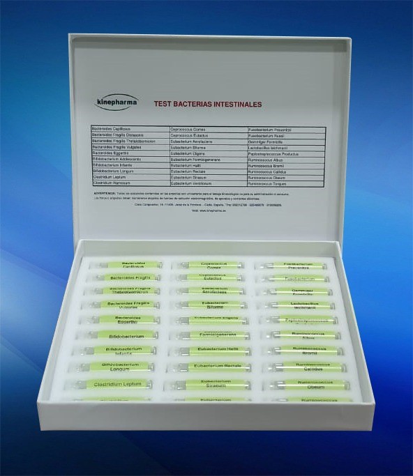 kit de bacterias intestinales