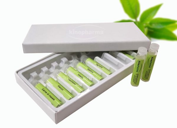Caja de carton 10 con molde de plastico