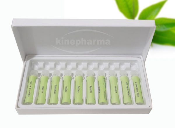 Caja de carton 10 con molde de plastico
