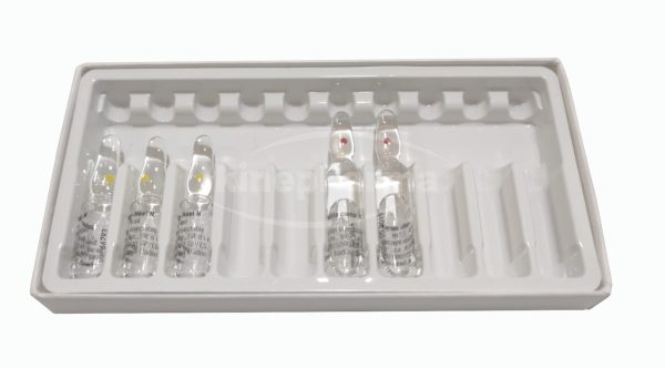 Caja de carton 10 con molde de plastico